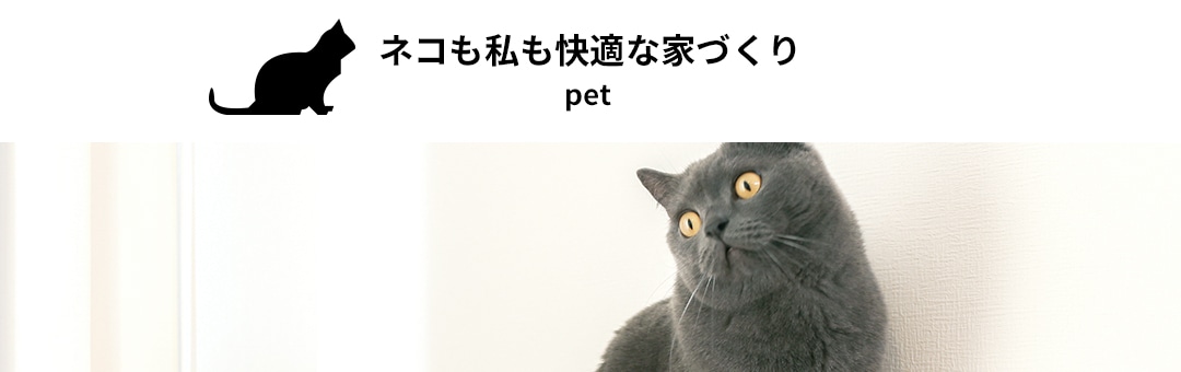 ネコも私も快適な家づくり